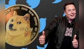 Dogecoin: Musk, acciones y el perrito de Twitter para una manipulación artificial del mercado
