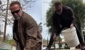 Arnold Schwarzenegger arregla pistas y fans piden que venga a Perú: "Hasta la vista, bache"