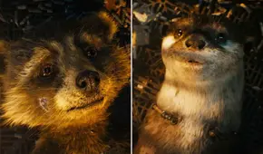 ¿Muere Rocket? Nuevo tráiler de "Guardianes de la galaxia 3" entristece a fans: "No voy a llorar"