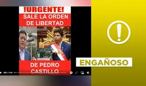 No hay evidencia de alguna “orden de libertad” a favor de Pedro Castillo