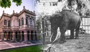 El sangriento final del guardián japonés que convivió con Charles, el elefante del Parque de la Exposición