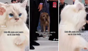 Met Gala 2023: perro se infiltra en la presentación de Jared Leto y su reacción es viral