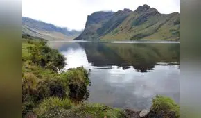 Lagunas Las Huaringas de Piura podrían convertirse en área de conservación de especies en peligro de extinción