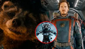 "Guardianes de la Galaxia Vol. 3" es reconocida por PETA al concientizar sobre el maltrato animal