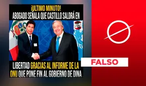 La ONU no concluyó en su informe el “fin” del Gobierno de Dina Boluarte