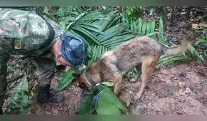 Encuentran huellas frescas que serían de niños perdidos en Colombia tras accidente de avioneta