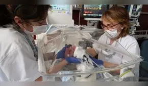 Nace el primer bebé por trasplante de útero en España: donación de la hermana lo posibilitó