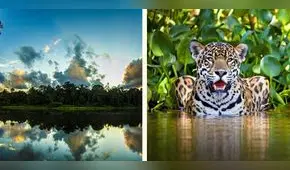 ¿Conoces el Manu? Estas son las rutas de acceso y el costo de entrada a esta joya mundial