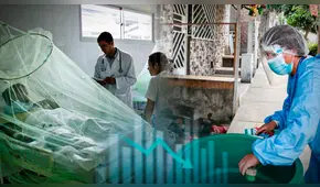 Dengue en Perú: Minsa registra 114.746 personas contagiadas con la enfermedad