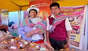 Jorge Figueroa, el agricultor de papas nativas, tiene 770 variedades y apunta a cultivar 2.000