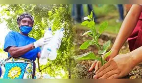 Día del Medio Ambiente: ¿por qué se celebra este 5 de junio y cuál es su origen?