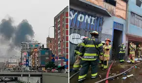 Incendio en La Victoria: un total de 20 perritos fueron rescatados Incendio en La Victoria: un total de 20 perritos fueron rescatados