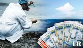 ¿Cuánto gana un biólogo marino en Perú y qué funciones realiza?