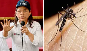 Dengue en Perú: ministra de Salud asegura que el porcentaje de hospitalizados descendió en un 70%
