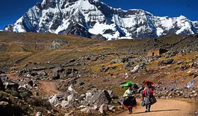 ¿A menos oxígeno... más vida?