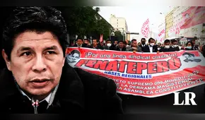 Pedro Castillo: Ministerio del Trabajo anuló inscripción del Fenate Perú, sindicato del expresidente