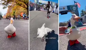 Pato participa en una maratón, se lleva los aplausos de la gente y hasta gana una medalla