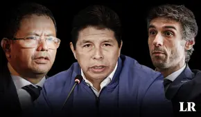 Pedro Castillo: atípicos argumentos expresados por su defensa para explicar golpe de Estado