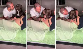 Perrito tiene tierna reacción al escuchar los latidos del bebé que esperan sus dueños: "Cuánto amor"