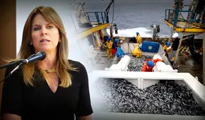 Cayetana Aljovín: "Sí vamos a poder tener una primera temporada de pesca de anchoveta"