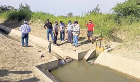 Insumos agrarios se reducirían en 15% en 2024