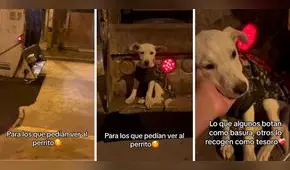 Perrito abandonado en la basura es adoptado por trabajador y conmueve en redes [VIDEO]