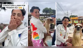 Kunno se emocionó al conocer una llama y peruanos le dijeron: “Te sigo porque te gusta Perú”