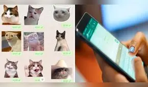 ¿Se borraron tus stickers de WhatsApp y no sabes qué hacer? Te enseñamos cómo recuperarlos