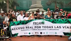 Pacientes de cannabis piden legalizar planta de marihuana por falta de insumos para medicación