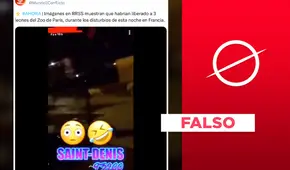 Video de "3 leones liberados del zoológico de París" no corresponde a las protestas de 2023