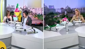 ¡El mal paso de Timoteo!: dragoncito sufre terrible caída durante entrevista en vivo