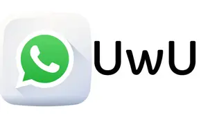 WhatsApp: ¿Qué significa "UwU" y por qué se ha vuelto tan popular en las conversaciones?