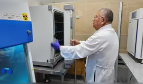 En veneno de serpientes hallan proteína que frena avance del cáncer