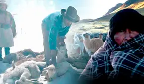 Declaran en emergencia a Puno por bajas temperaturas: ¿qué zonas están en muy alto riesgo?