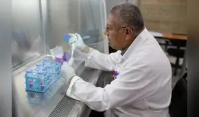 El veneno de serpiente puede frenar el cáncer de mama y leucemia