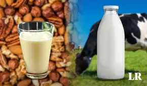 ¿La leche vegetal es capaz de sustituir a la de vaca? Estudio pone fin al debate ¿La leche vegetal es capaz de sustituir a la de vaca? Estudio pone fin al debate