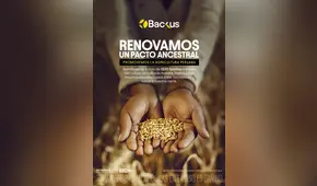 Backus desarrolla la primera cebada cervecera del país