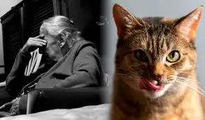 La historia de Clara Tobón, la anciana devorada por sus gatos en Madrid La historia de Clara Tobón, la anciana devorada por sus gatos en Madrid