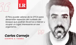 OTCA, por Carlos Cornejo