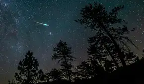 Perseidas 2023 EN VIVO: así se vio la lluvia de estrellas de agosto