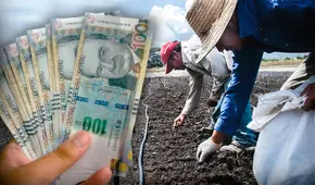 Fertiabono 2: beneficiarios podrán cobrar el subsidio hasta el jueves 31 de agosto