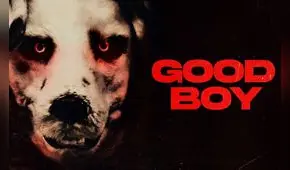 'Good Boy 2023', la película del hombre disfrazado de perro: ¿dónde ver ONLINE GRATIS?