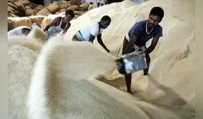 India endurece ahora exportación de arroz basmati y peligro sobre precios globales se dispara