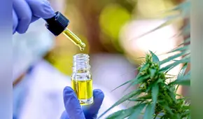 Nuevo reglamento de cannabis para uso medicinal en el Perú: ¿de qué trata y en qué casos aplica?