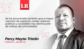 Macetas, seguridad y salud, por Percy Mayta-Tristán