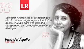 Allende, el estadista, por Irma del Águila
