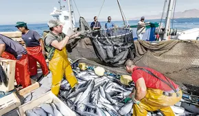 Congreso: José Cueto plantea ley para perpetuar a exmarinos en Imarpe