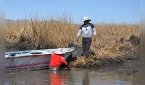 La sequía y los cultivos