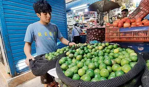 Limón bajó a S/8,94 el kilo a nivel mayorista