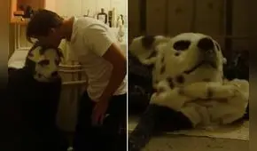 Un hombre que se cree perro, una cita de tinder y una terrible tortura, ¿de qué trata 'Good boy'?